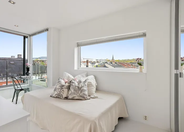 Penthouse In Appartamento Oslo